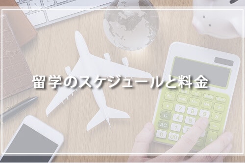 留学のスケジュールと料金