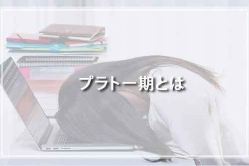 プラトー期とは