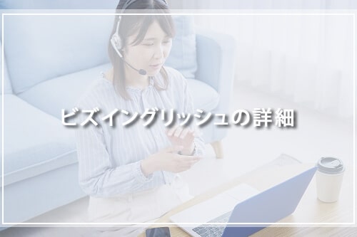 ビズイングリッシュの詳細