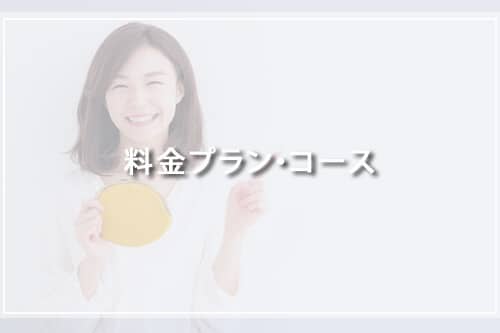 料金プラン・コース