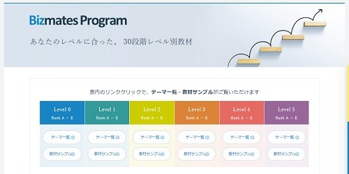 Bizmates Program