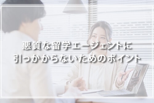 悪質な留学エージェントに引っかからないためのポイント