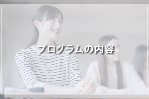 プログラムの内容